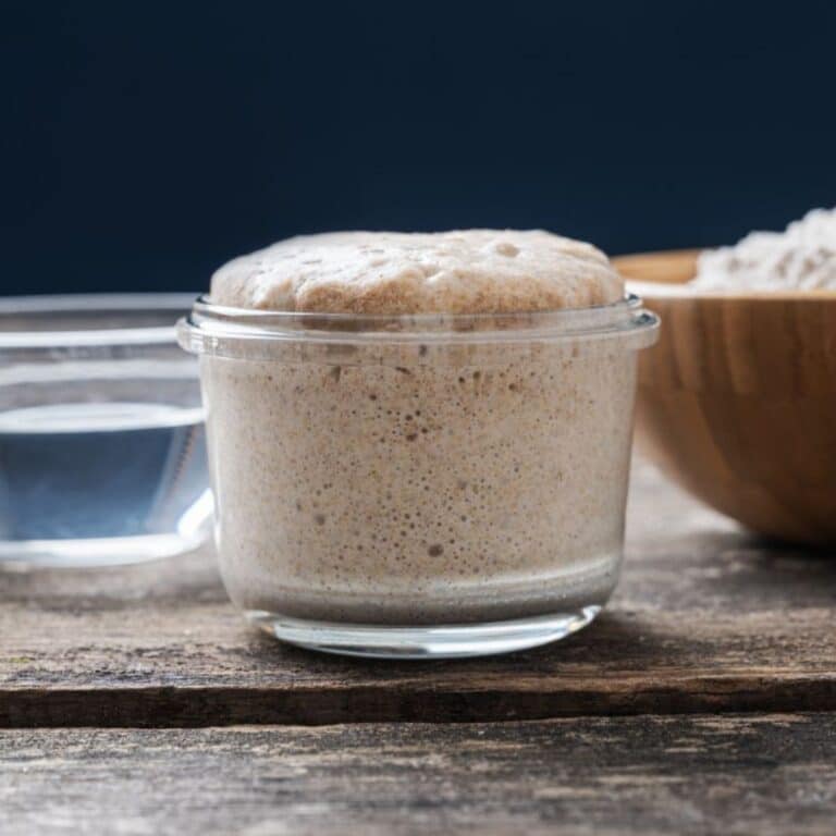 🥖 Feeding and Maintaining Your Sourdough Starter