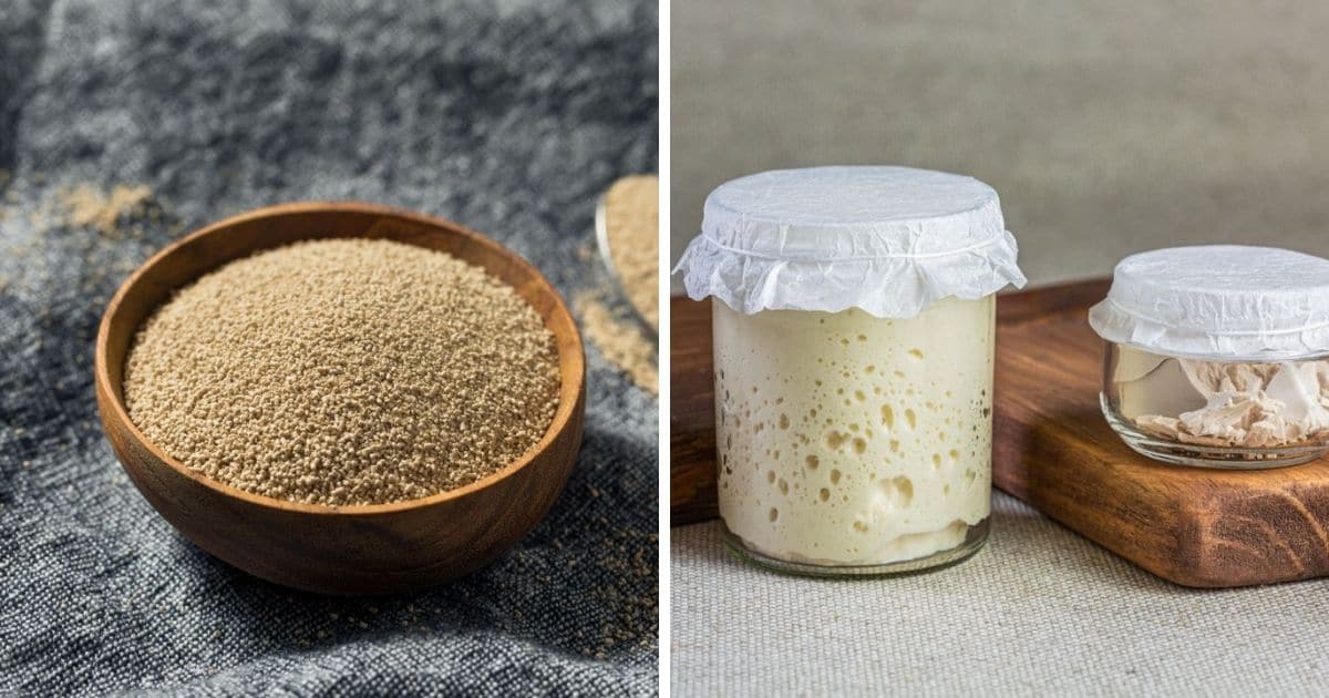 🥖 Can I Use Active Dry Yeast in Place of Bread Machine Yeast?