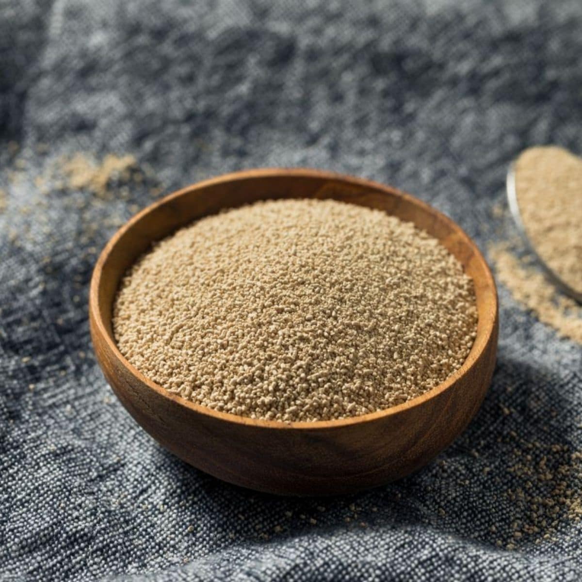 🥖 Difference Between Bread Machine Yeast And Regular Yeast