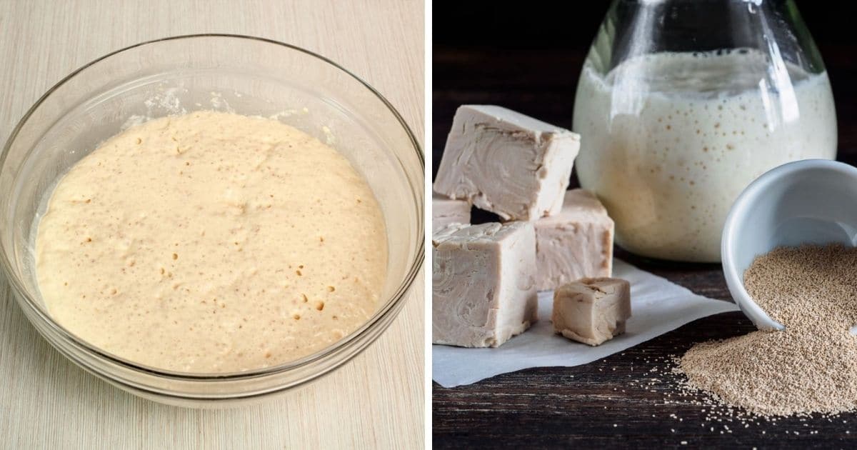 🥖 Does Bread Machine Yeast Need To Be Proofed
