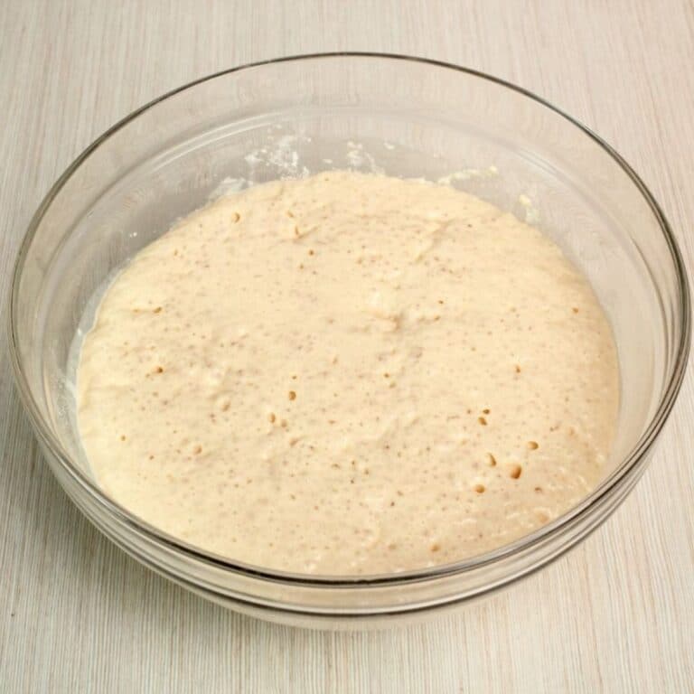🥖 Difference Between Bread Machine Yeast And Regular Yeast