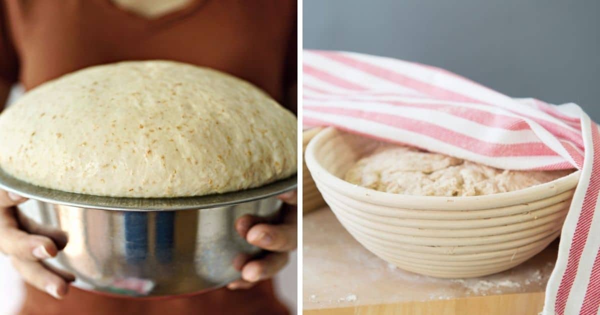 🥖 Does The Amount Of Yeast Affect How Bread Rises?