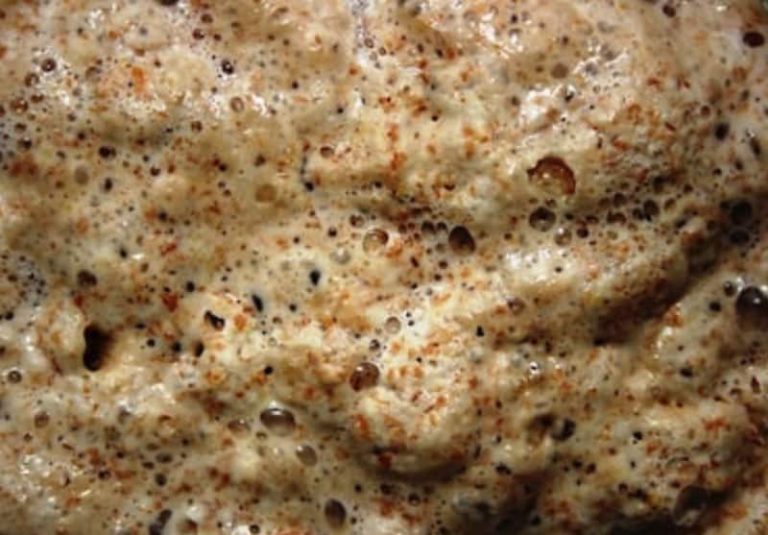 🥖 How Do I Know If My Yeast Is Still Active?