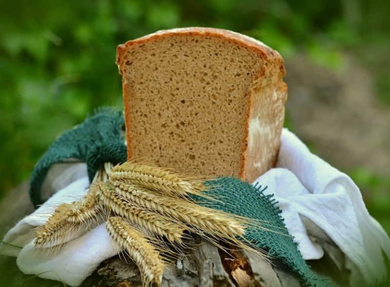 what-is-malted-milk-powder