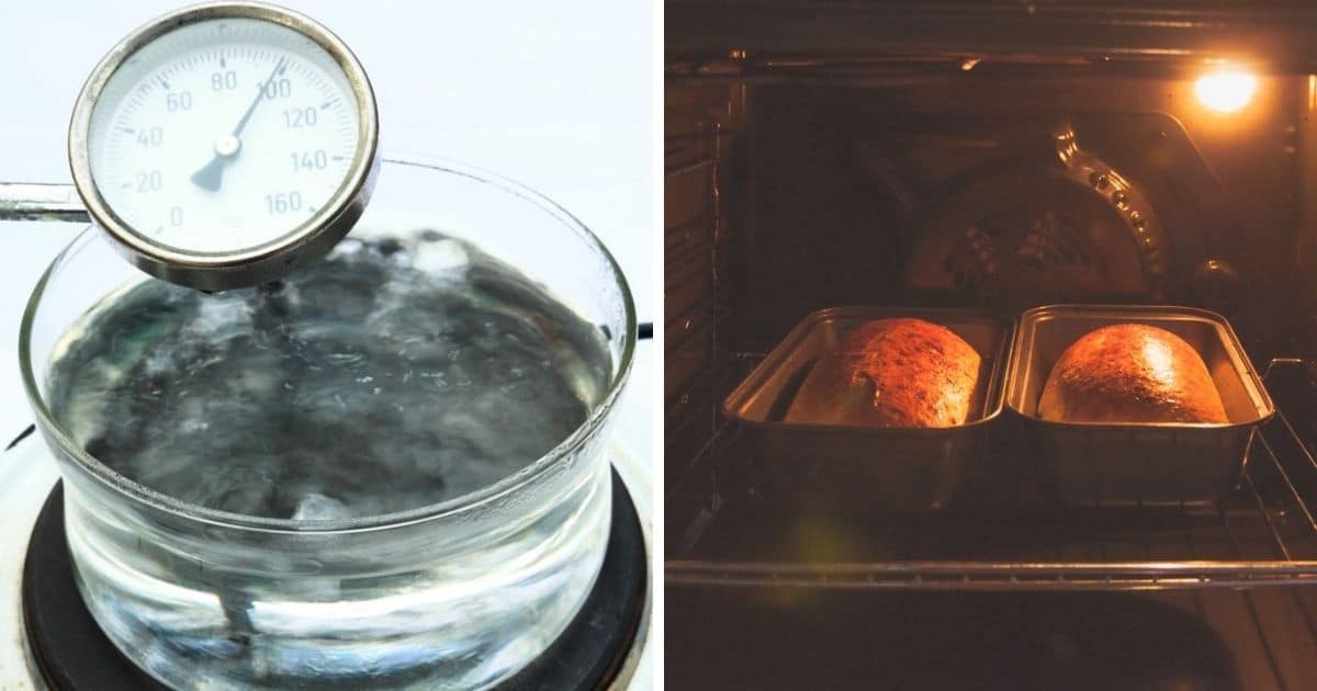 🥖 At What Temperature Does Yeast Die?