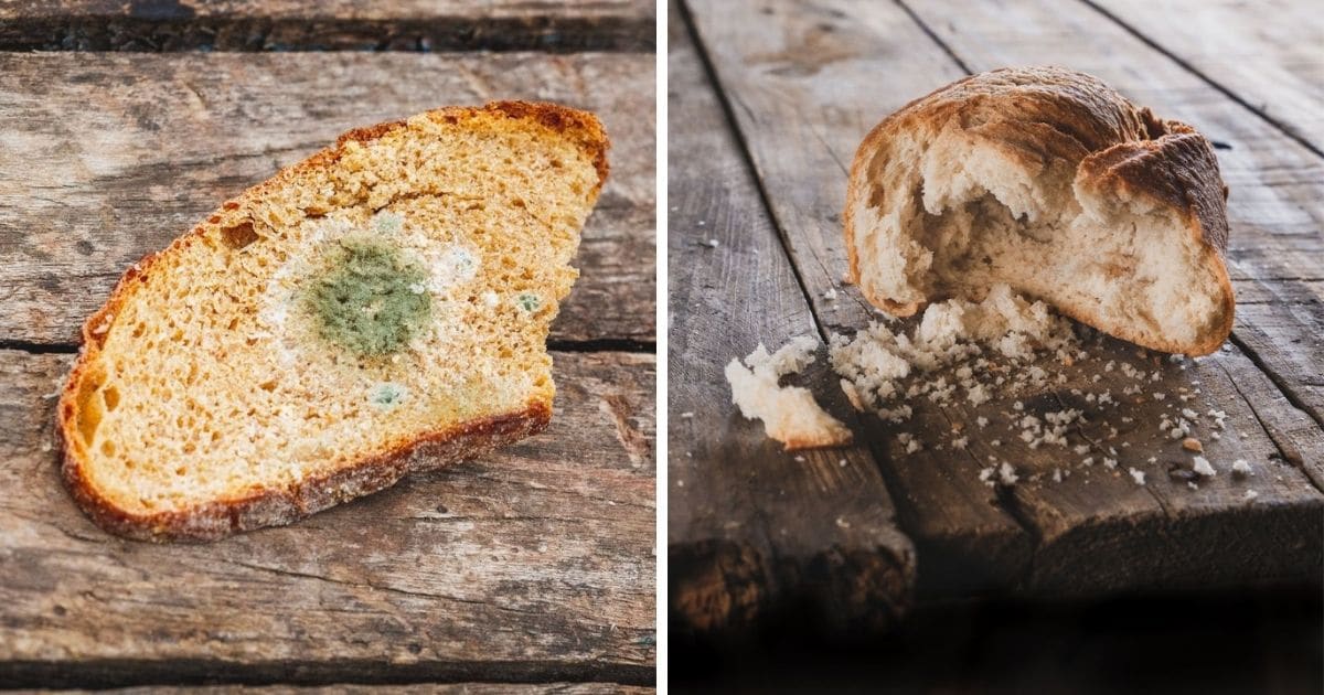 🥖 Can Old Bread Make You Sick?