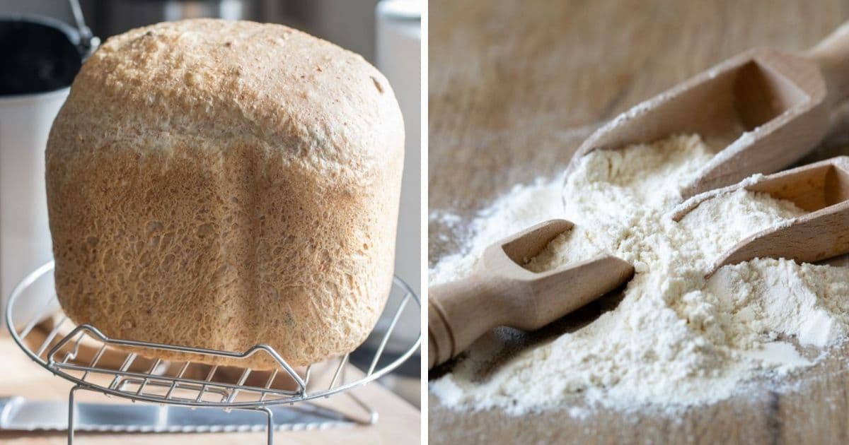 can-you-use-all-purpose-flour-in-a-bread-machine