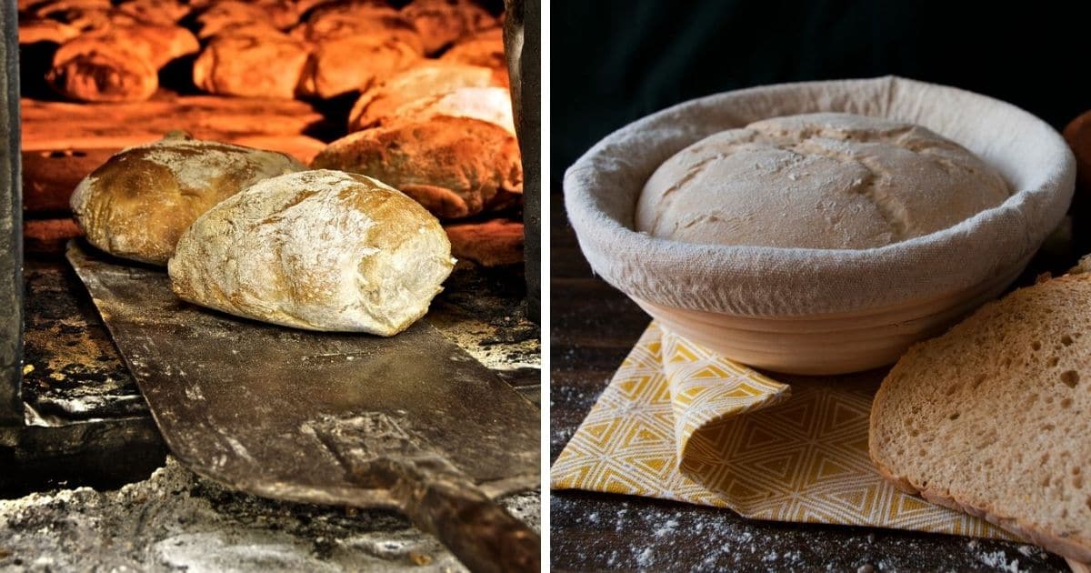 🥖 Does Baking Bread Kill Yeast?