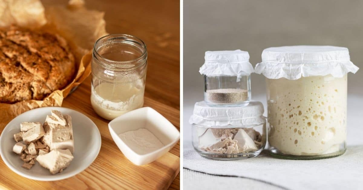 🥖 Does Bread Yeast Smell Bad?