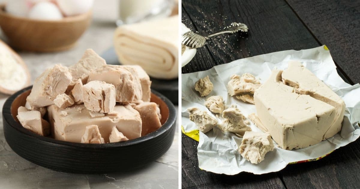 🥖 Does Fresh Yeast Go Bad?