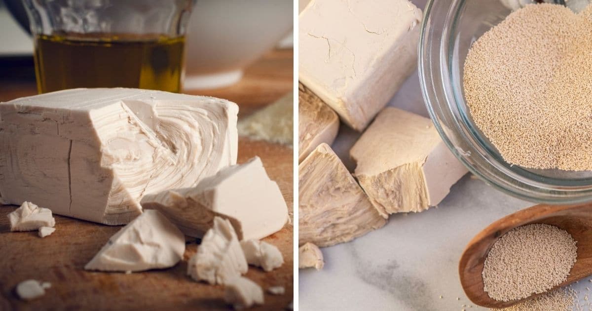 🥖 How Can You Tell If Yeast Is Bad?