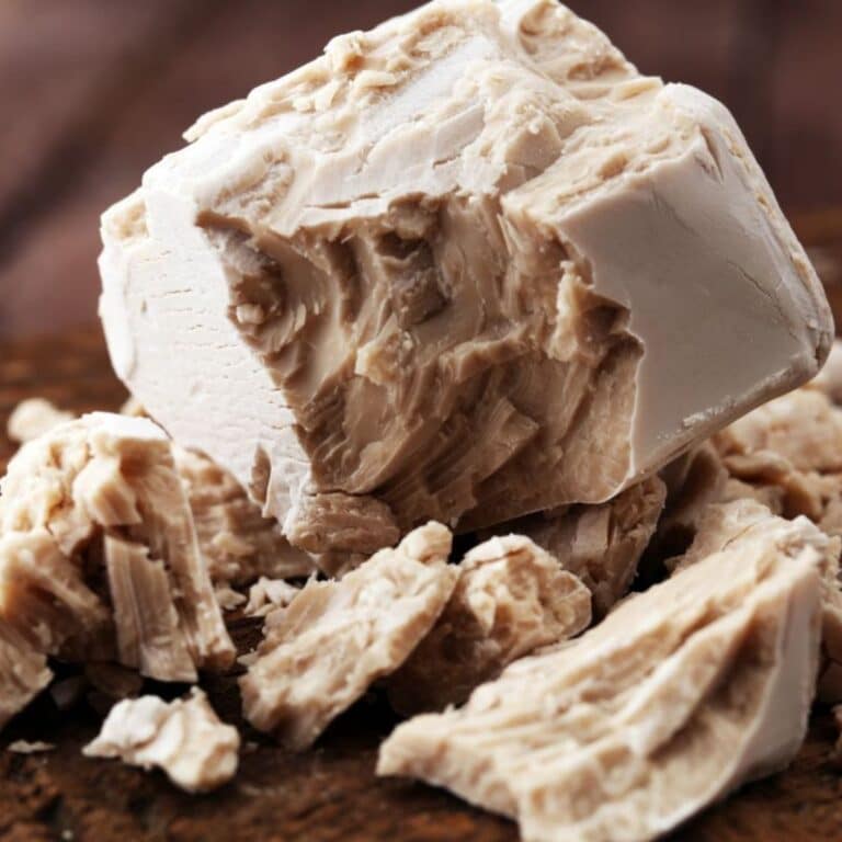 🥖 Does Yeast Have To Be Refrigerated?