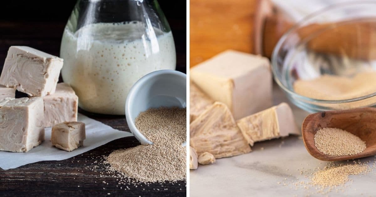 🥖 How Long Does Yeast Last
