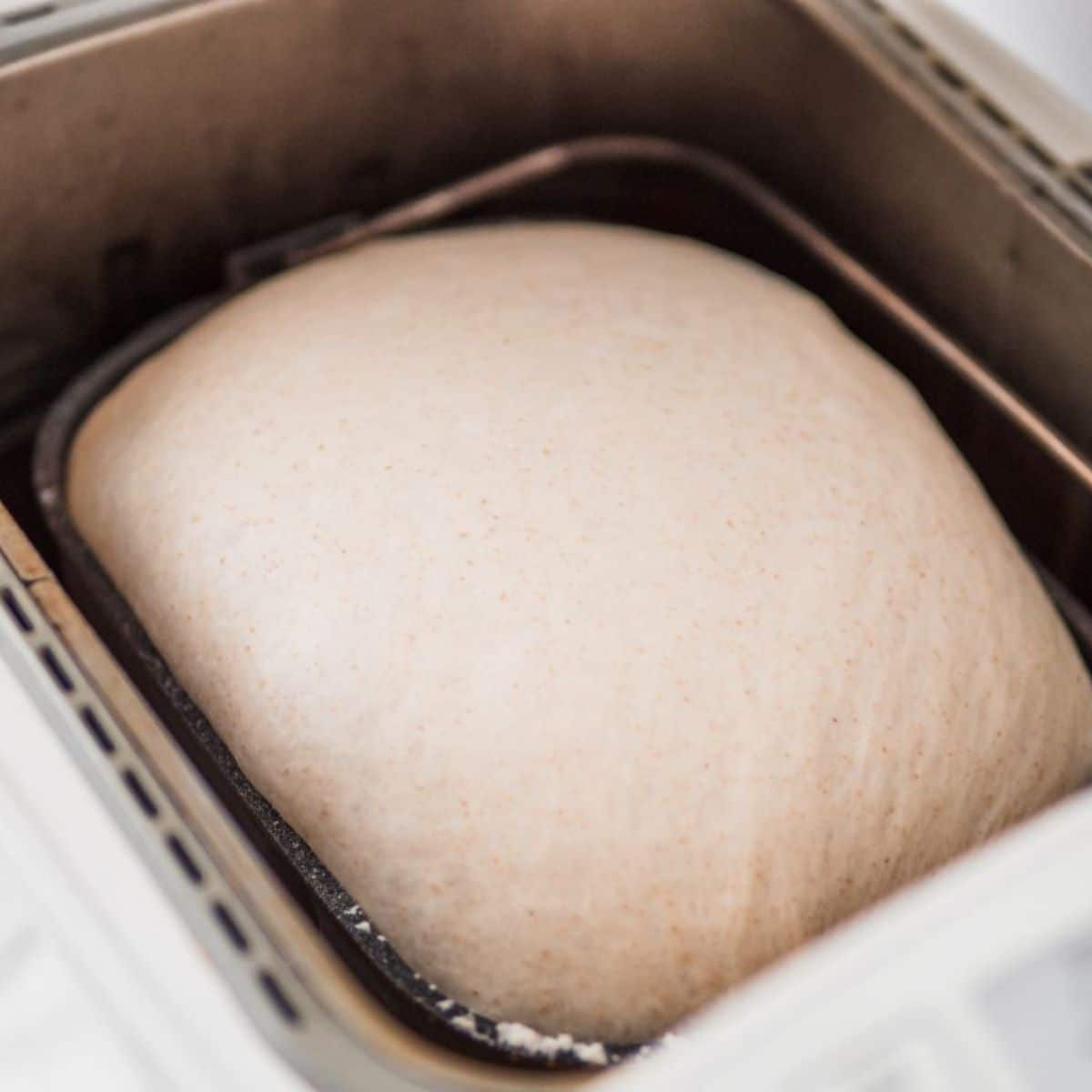 Fresh dough in breadmaker