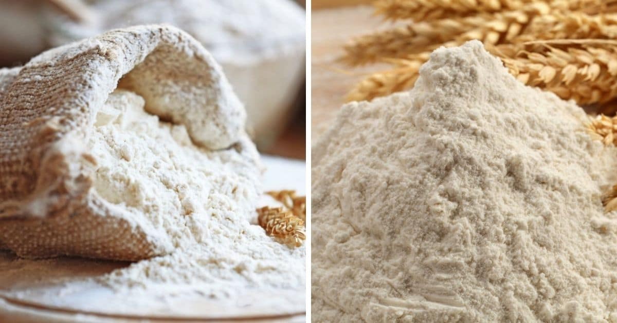 🥖 Is Bread Flour Healthier Than All Purpose?