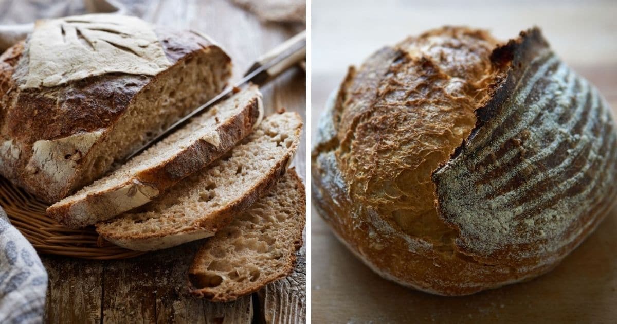 🥖 Is Sourdough Bread Healthier Than Wheat Bread?