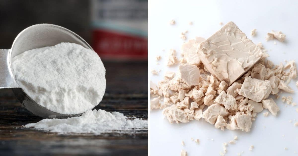 🥖 Which Is Healthier Yeast Or Baking Powder?