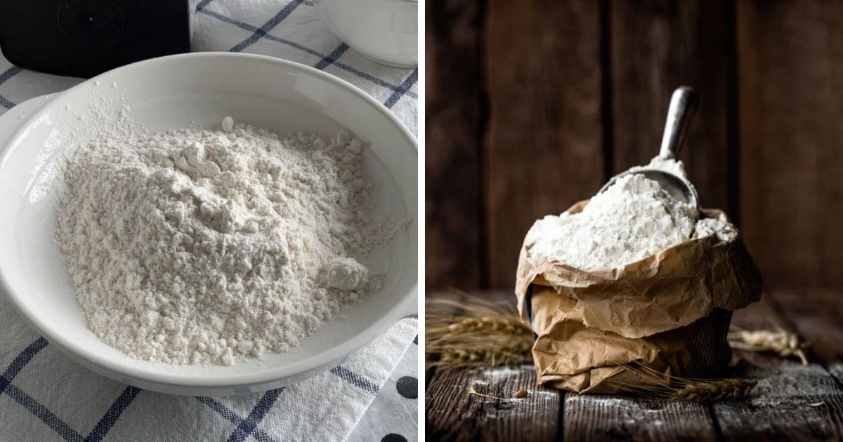 🥖 Can I Use All Purpose Flour Instead of Bread Flour for Pizza