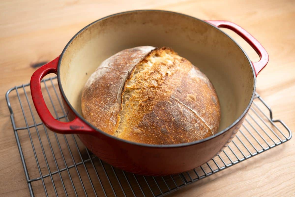 Loaf of bread in a red dutch oven on a baking grid 