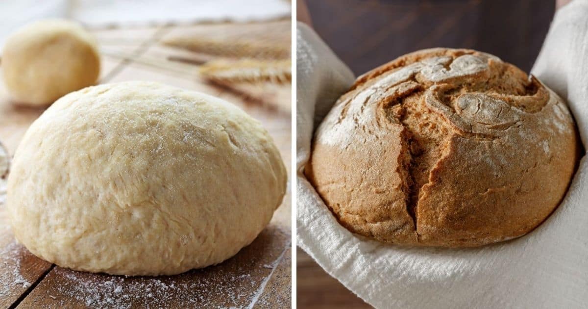 🥖 Why Does Bread Fall When Baking