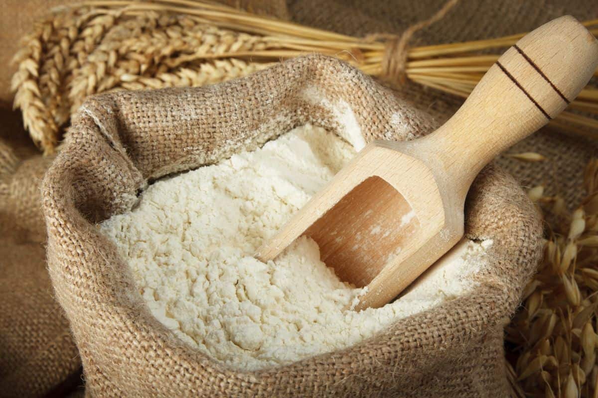 Sack of flour with wooden spoon, whole wheat in the background