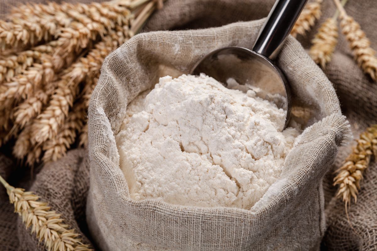 Bag of white flour with metal spoon on cloth with stalks of wheat around