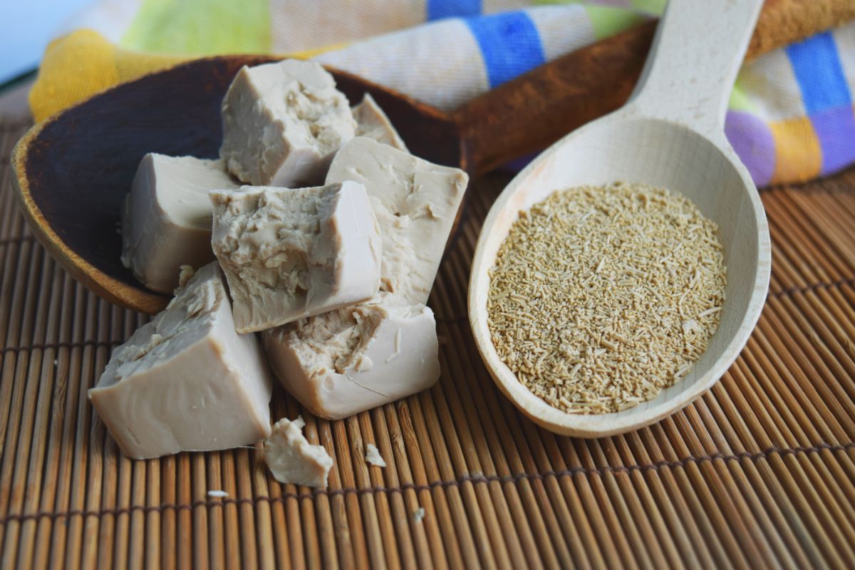 Dry and block yeast in spoons on wooden pad