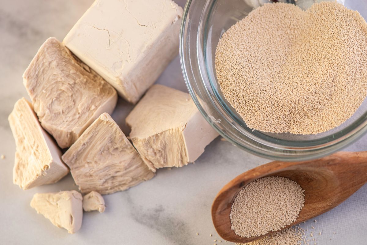 Dry and block yeast on white-gray table