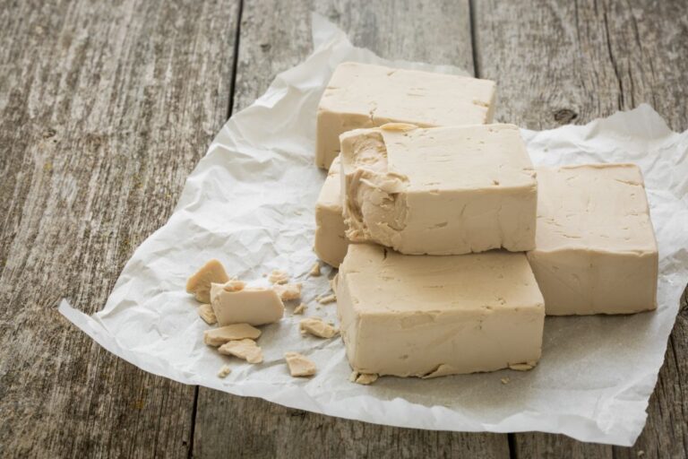 🥖 Does Yeast Have To Be Refrigerated?