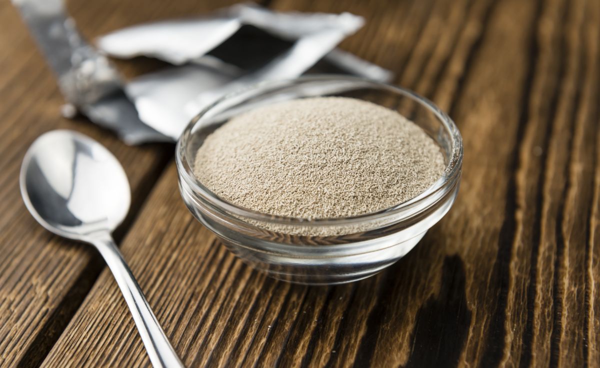 Glass bowl of dry yeast on wooden  table with spoon