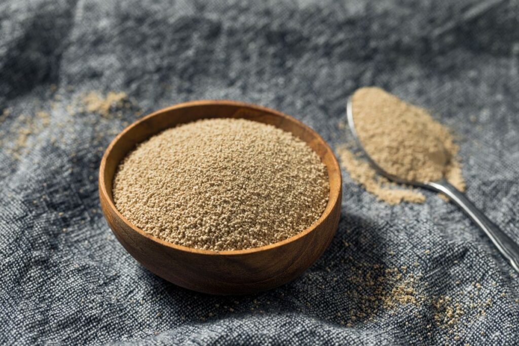 🥖 Can I Use Active Dry Yeast in Place of Bread Machine Yeast?