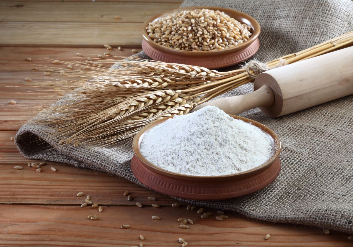 Bowl of wheat flour on cloth bag with stalks of wheat, wooden kitchen roller and bowl of wheat grains