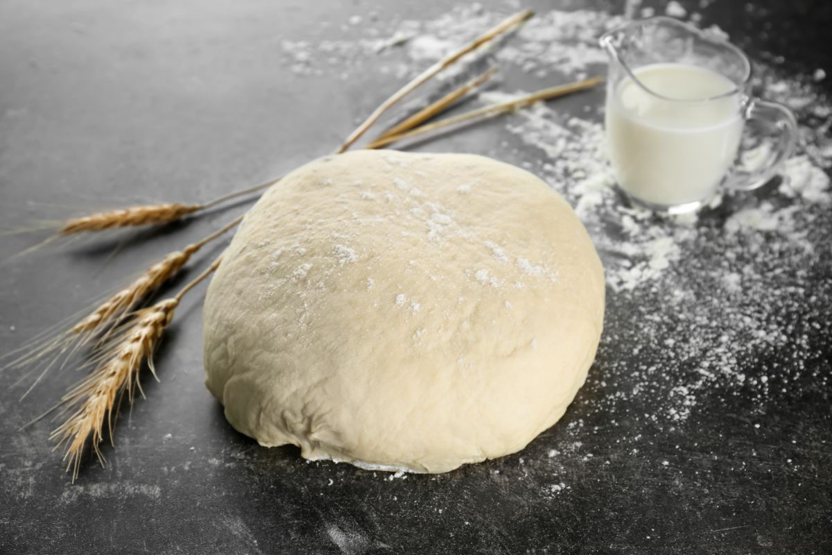 Bread dough with glass of milk, wheat plants and spilled flour on black table