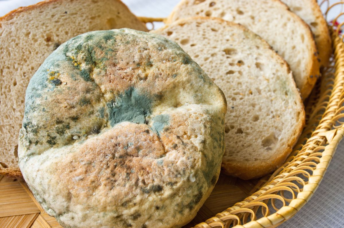 Slices of bread with mold in wooden basket