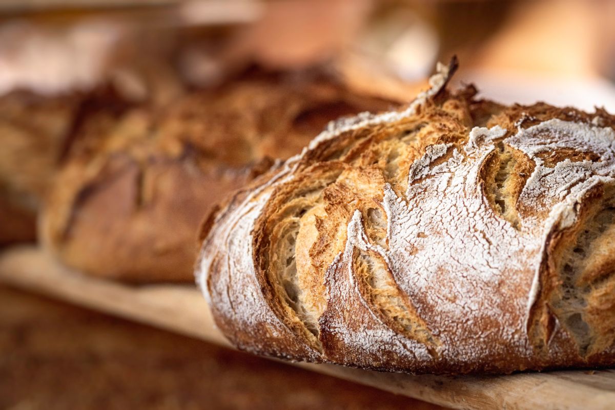 Freshly baked loaves of bread on wooden pad