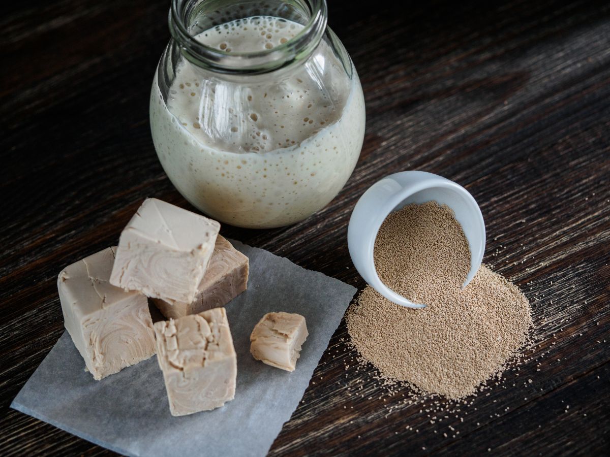 Different types of yeast on brown table