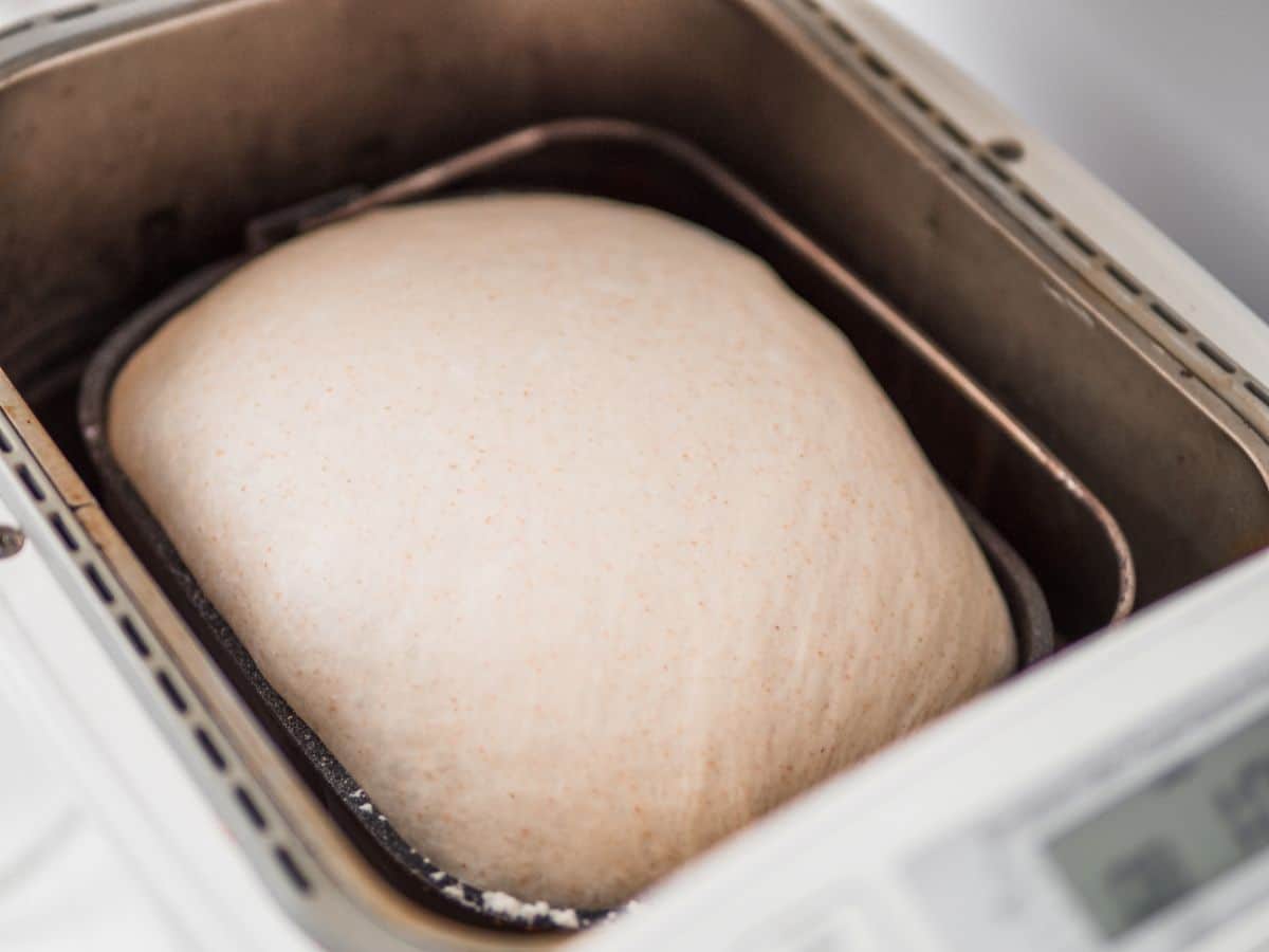 Fresh dough in breadmaker