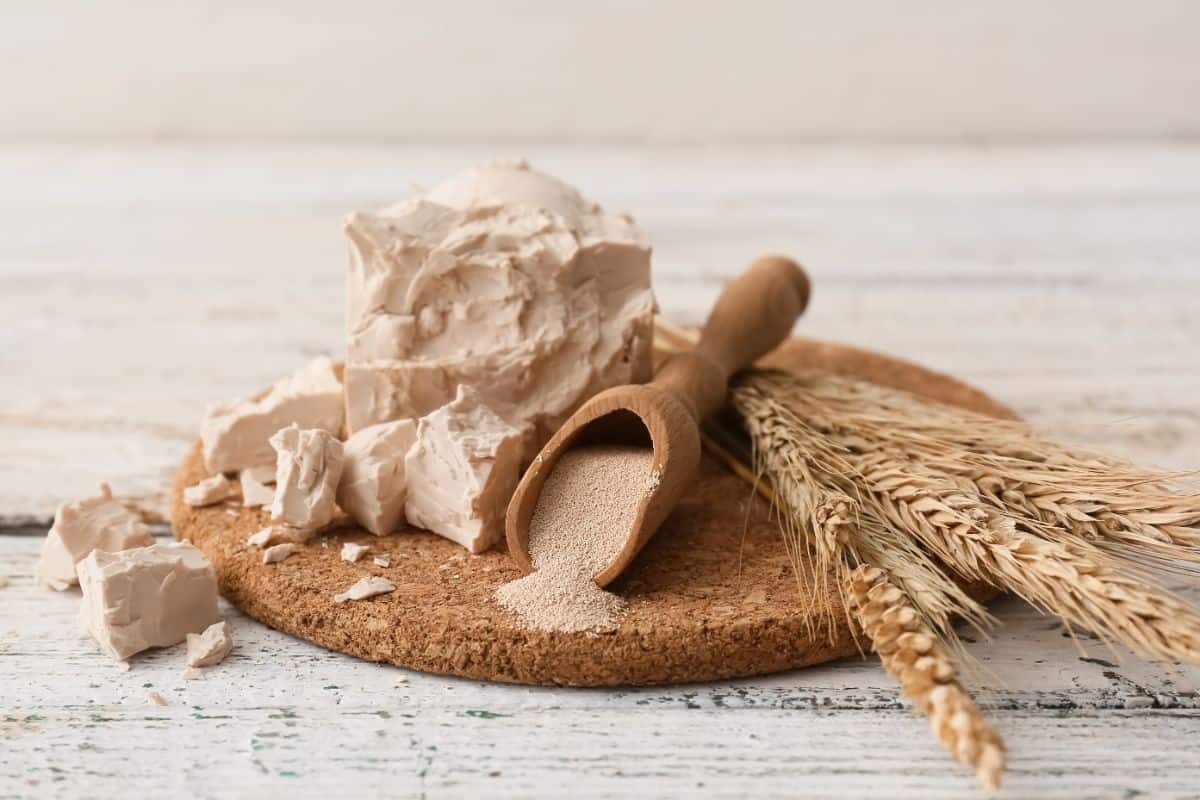 Dry yeast on wooden pad with wooden spoon and whole wheat