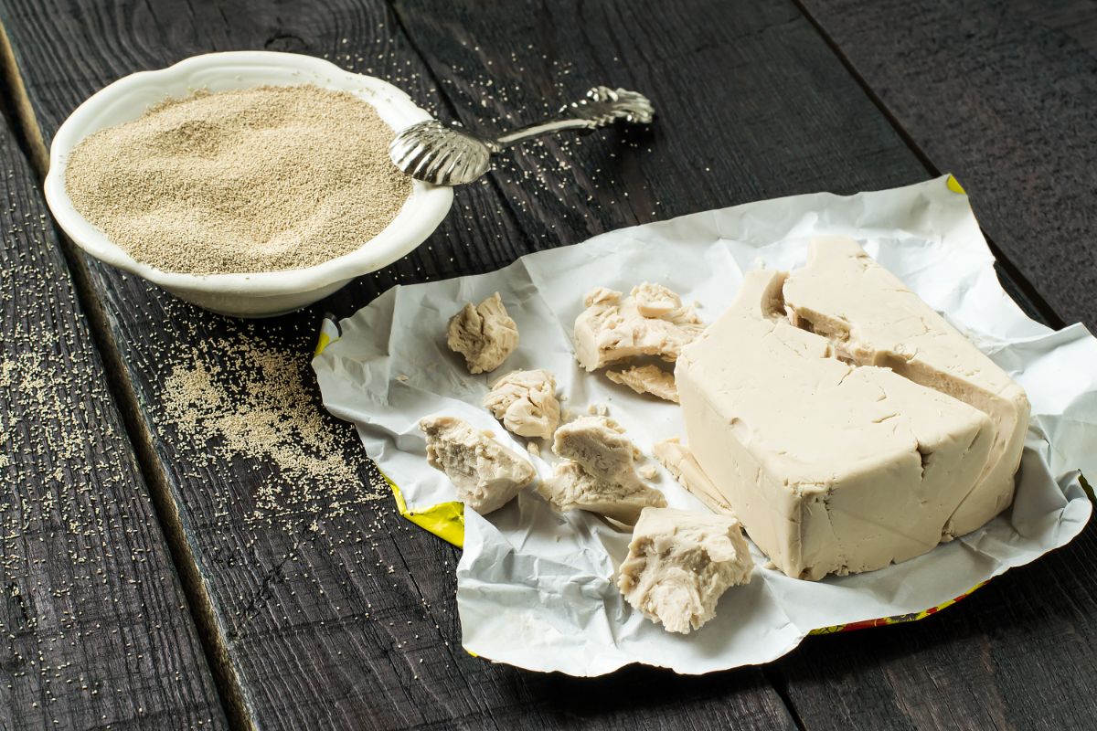 Fresh block yeast on opened package, dry yeast in white bowl with spoon on black table