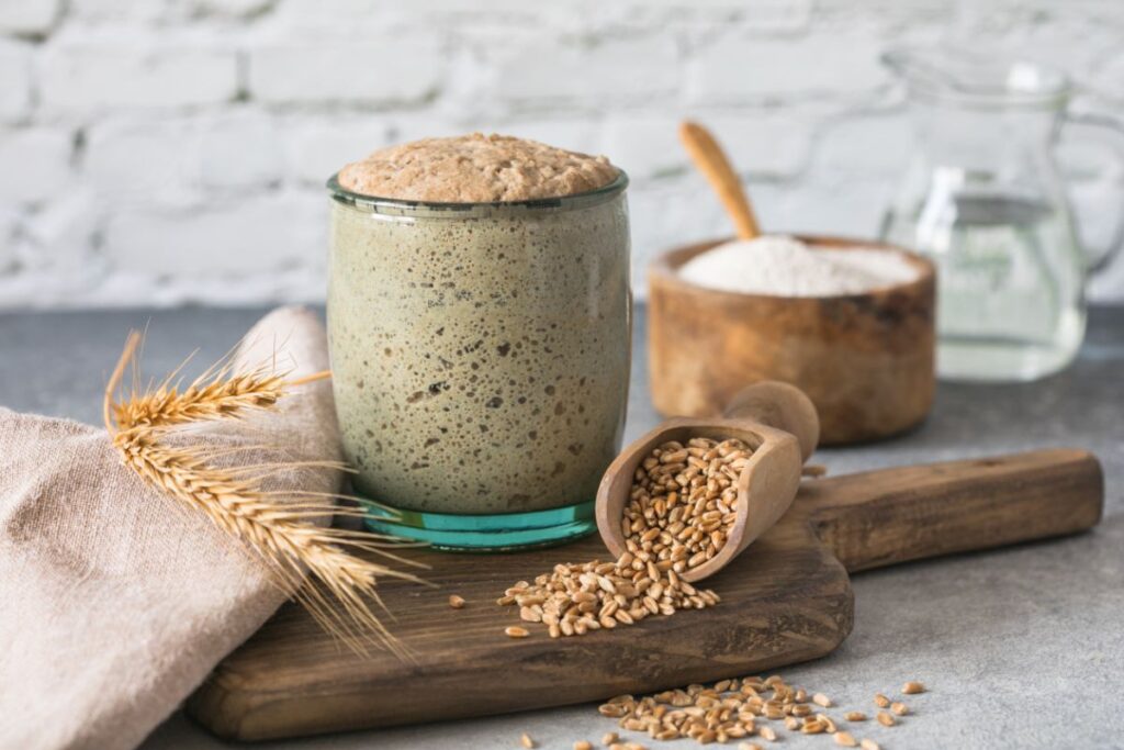 feeding-and-maintaining-your-sourdough-starter