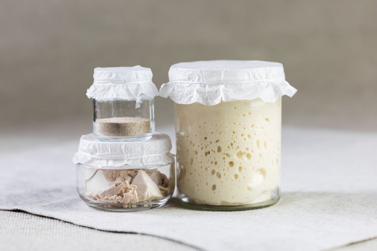 Varieties of bread yeast in glass jars