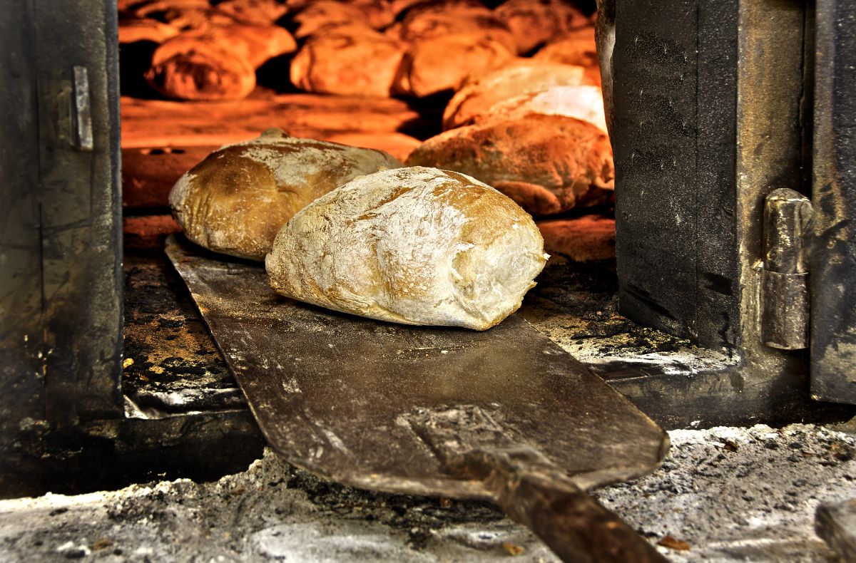 Loaves of bread on baking pad in front of oven