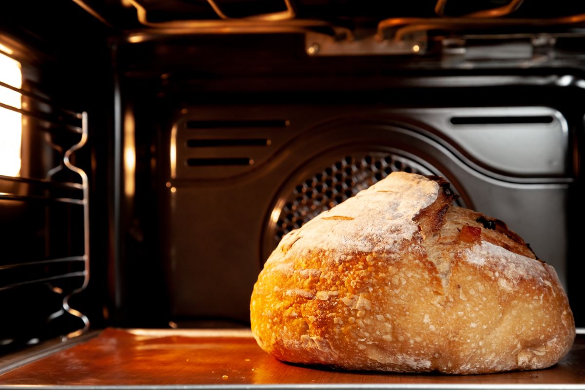 Loaf of bread freshly baked in oven