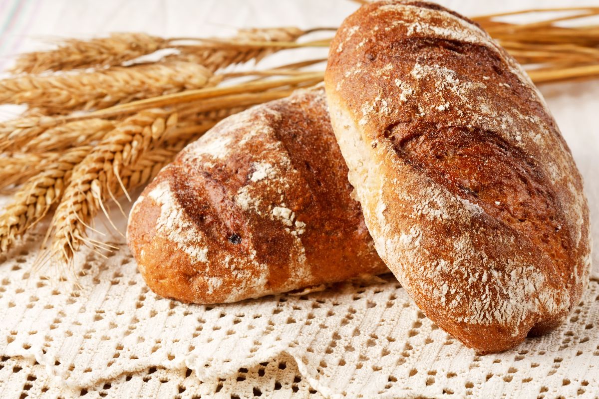 Loaves of bread with wheat on white table cloth