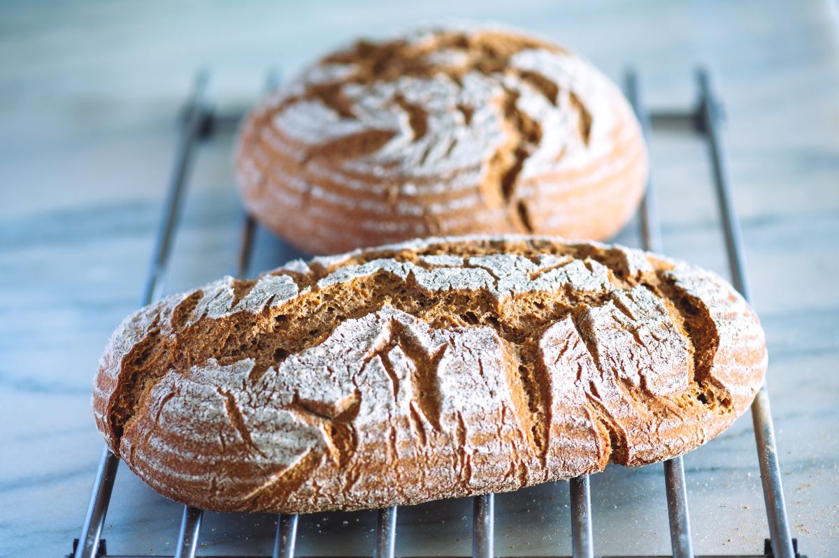 Loaves of  sourdough bread on cooling rack