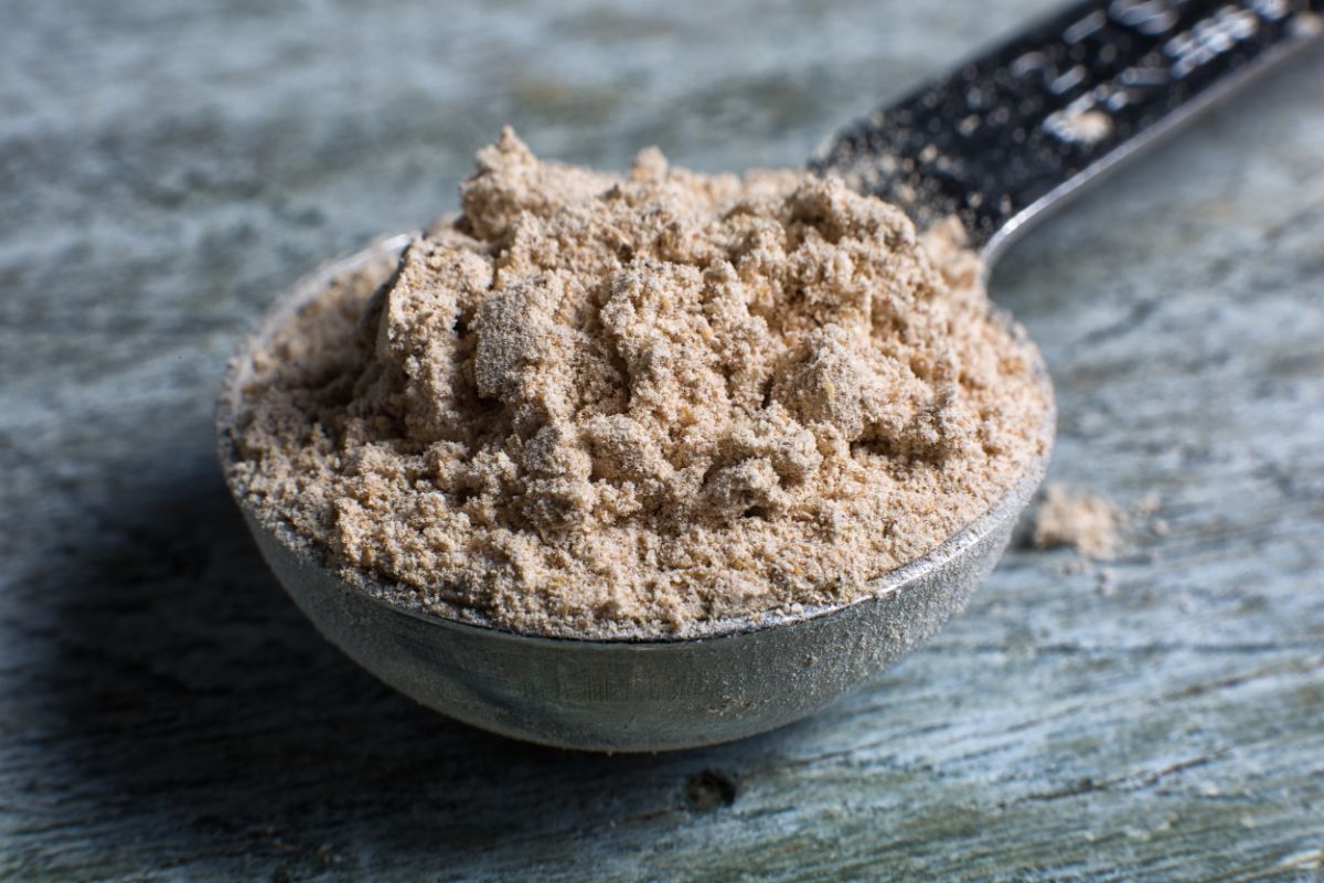 Malted flour in spoon on gray table