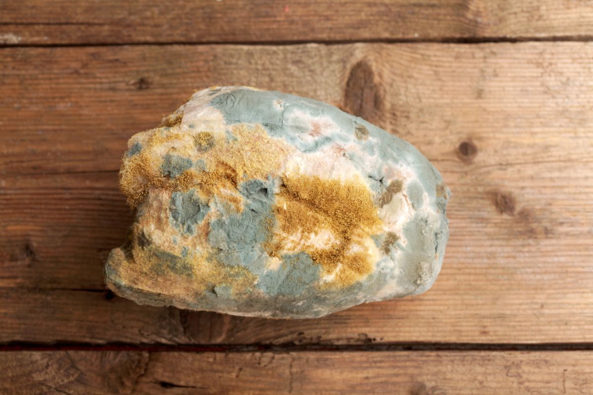 Moldy loaf of bread on wooden table