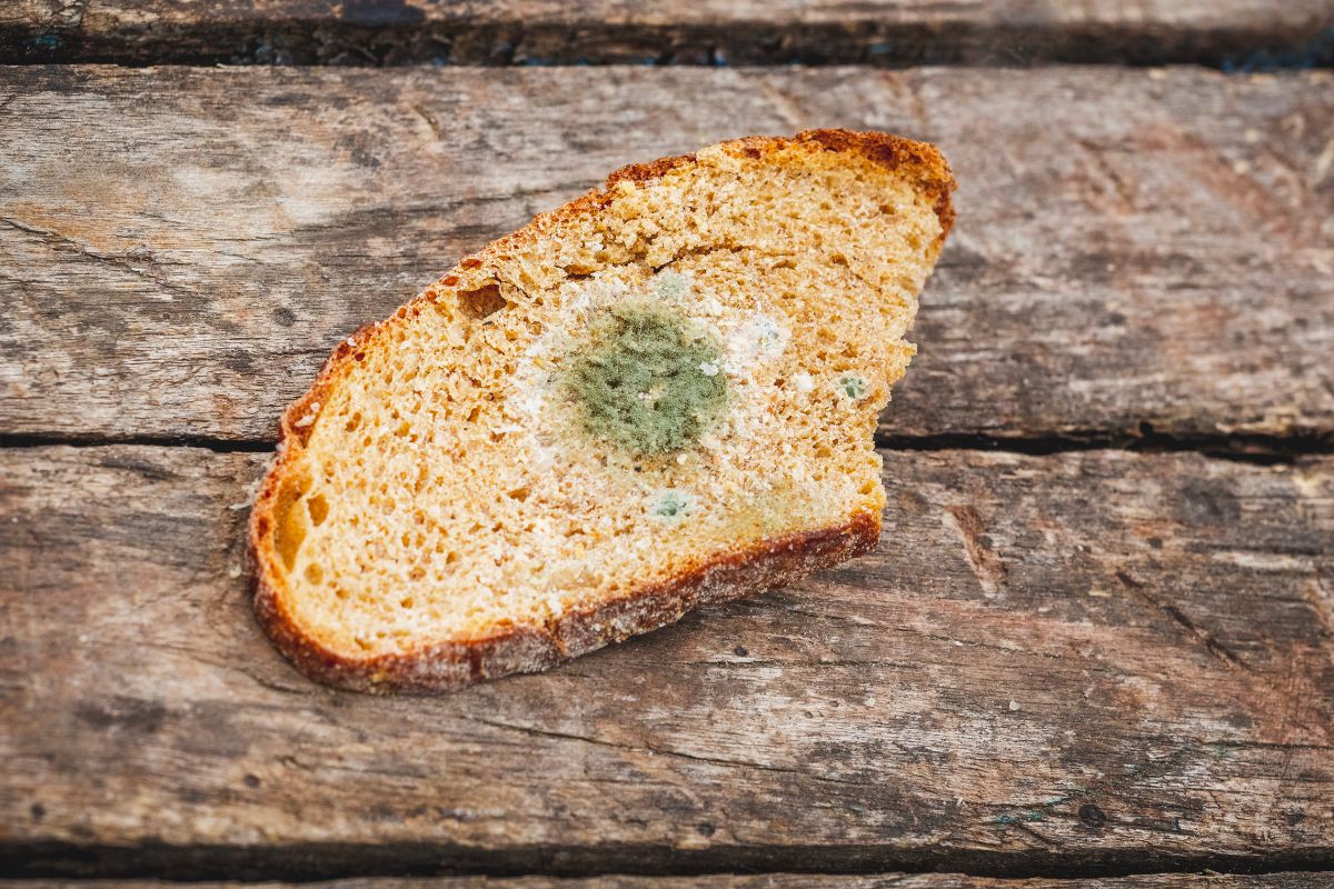 Partially eaten slice of moldy bread on wooden table