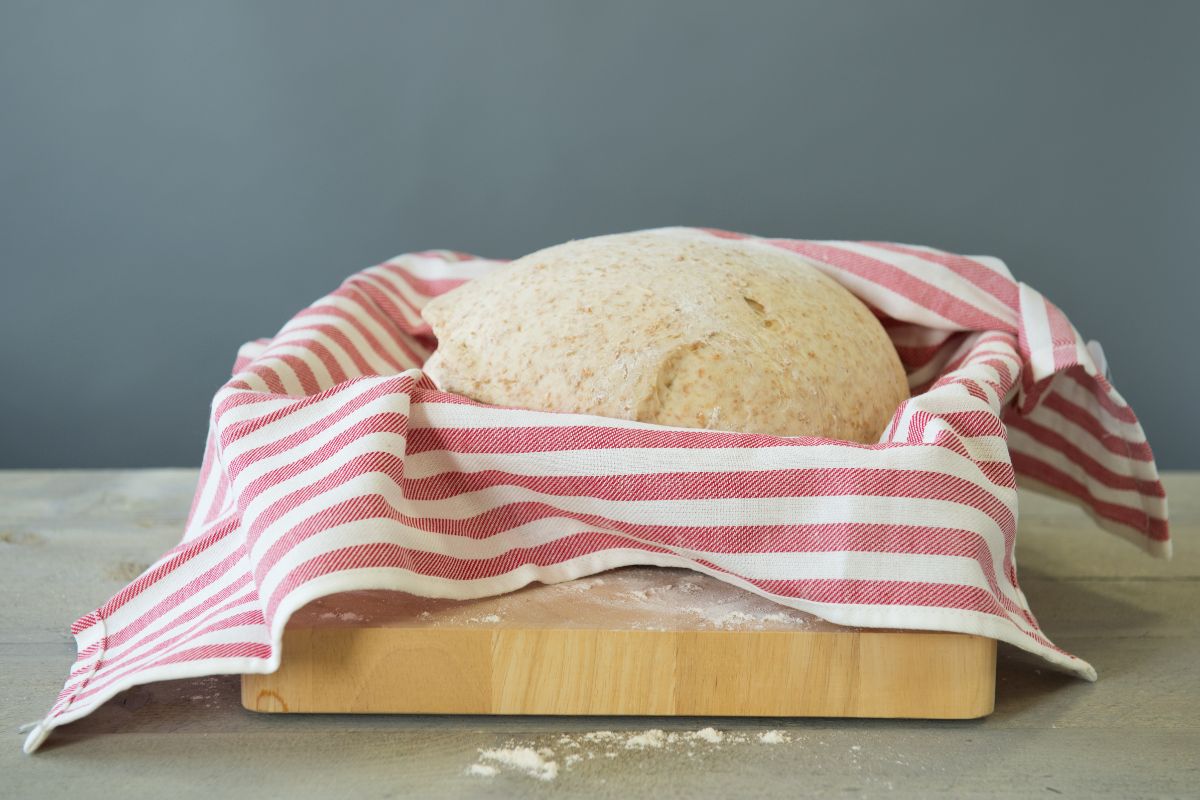 Rising bread dough  in cloth wipe on wooden board on gray table