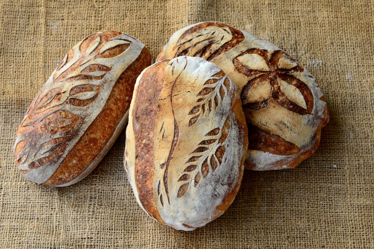 Scored loaves of bread on table cloth